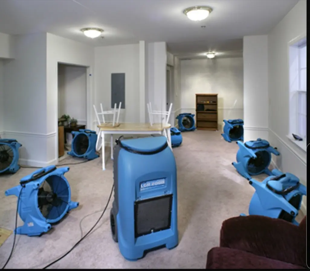 Air movers and dehumidifier setup for Water Extraction & Removal in Hanahan